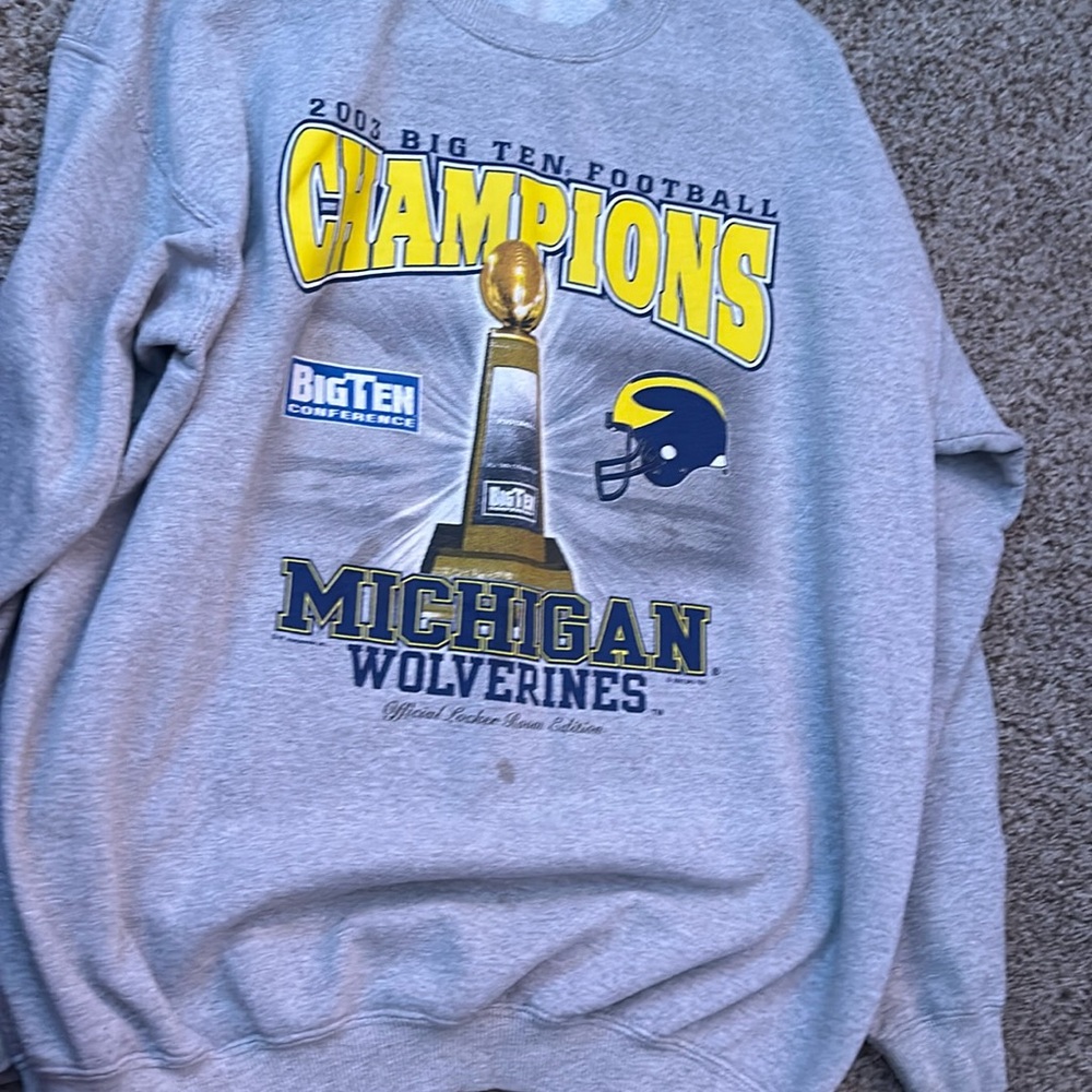 MICHIGAN BIG 10 FOOTBALL CHAMPIONS